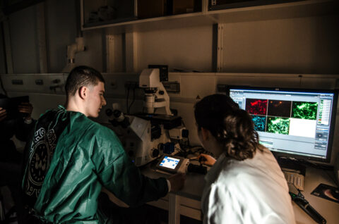 Klara Metzner, Doktorandin, erklärt die Funktionsweise eines Fluoreszenzmikroskops und zeigt mit Fluoreszenz-Markern markierte Zellkulturbestandteile